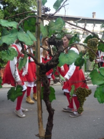 Pust 2014