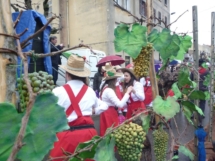 Pust 2014